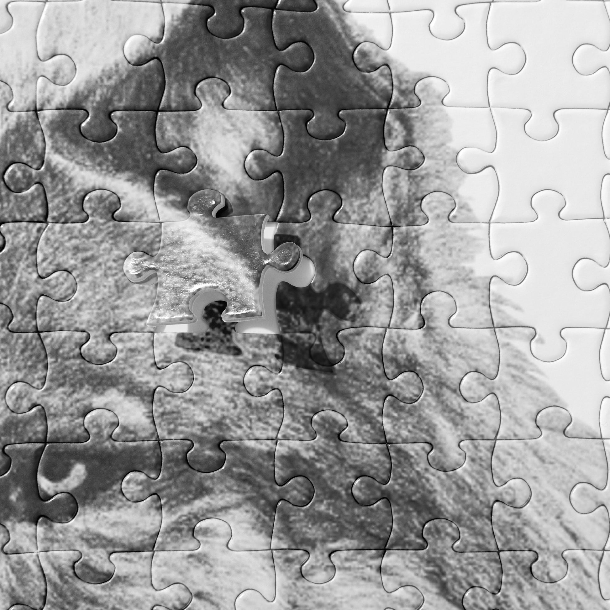 The "Wolf Jigsaw Puzzle" is from a drawing of mine created with a graphite pencil. It has been digitally optimized and transferred to a pressed paper chipboard which makes it suitable for framing.