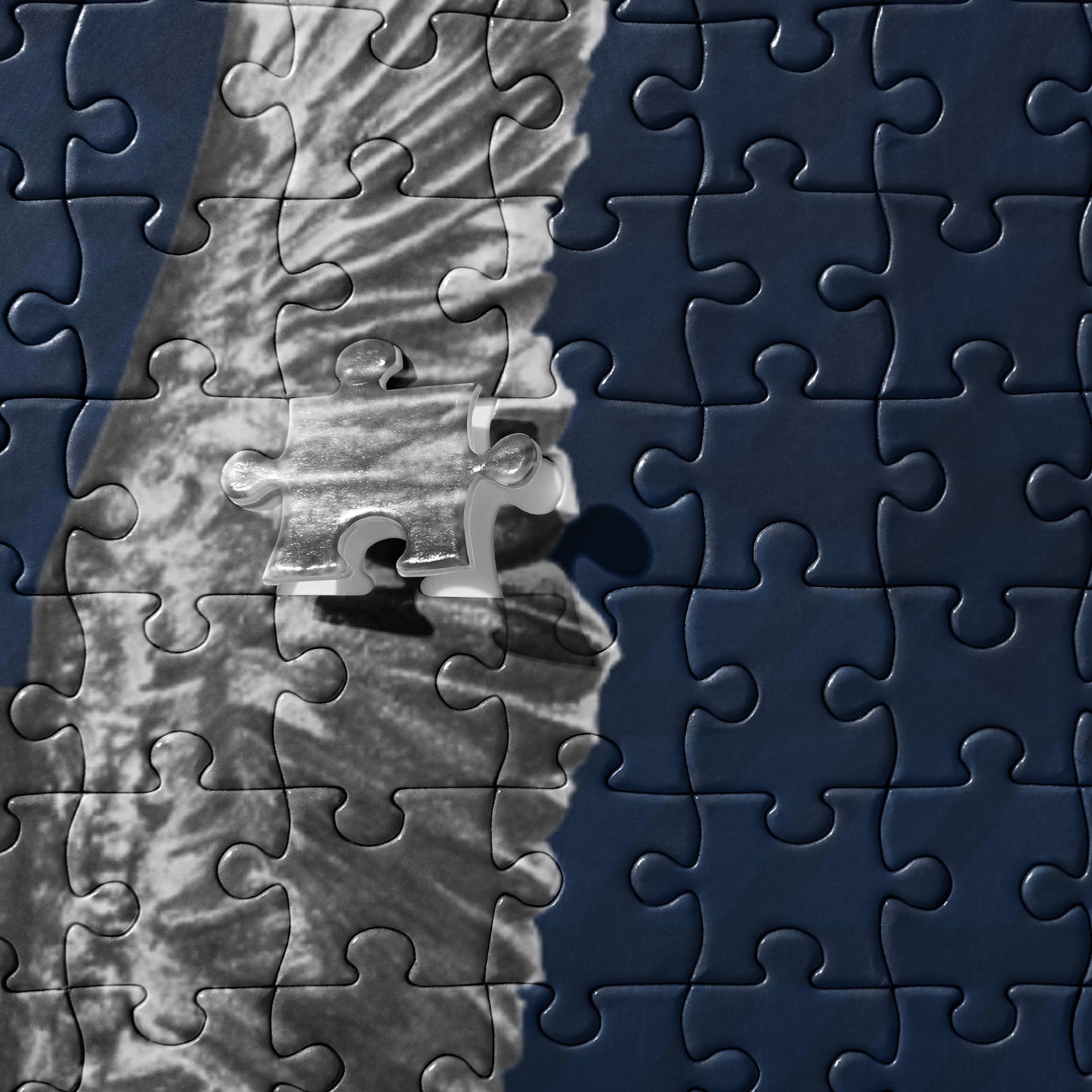 The "Eagle Jigsaw Puzzle" is from a drawing of mine created with a graphite pencil.  It has been digitally optimized and transferred to a pressed paper chipboard which makes it suitable for framing.