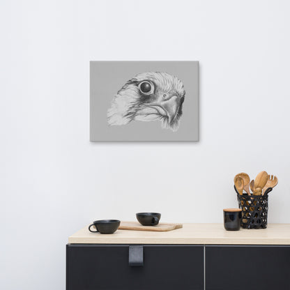 These "Hawk Canvas Wall Hangings" are from a drawing of mine created with a graphite pencil. It has been digitally optimized and transferred to a poly-cotton blend canvas.